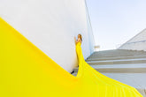Yellow at the Kennedy Center, Washington D.C. - Global Goddesses