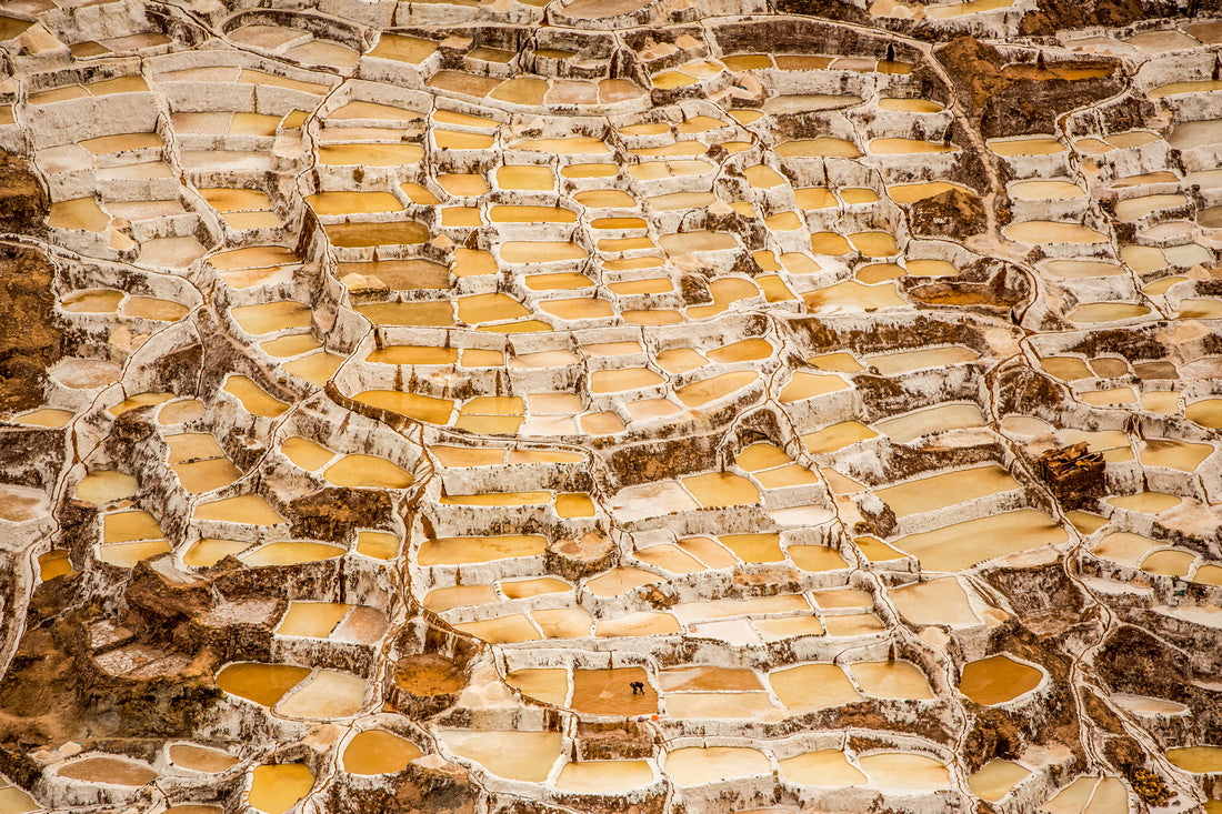 Maras Universe - Peru Series