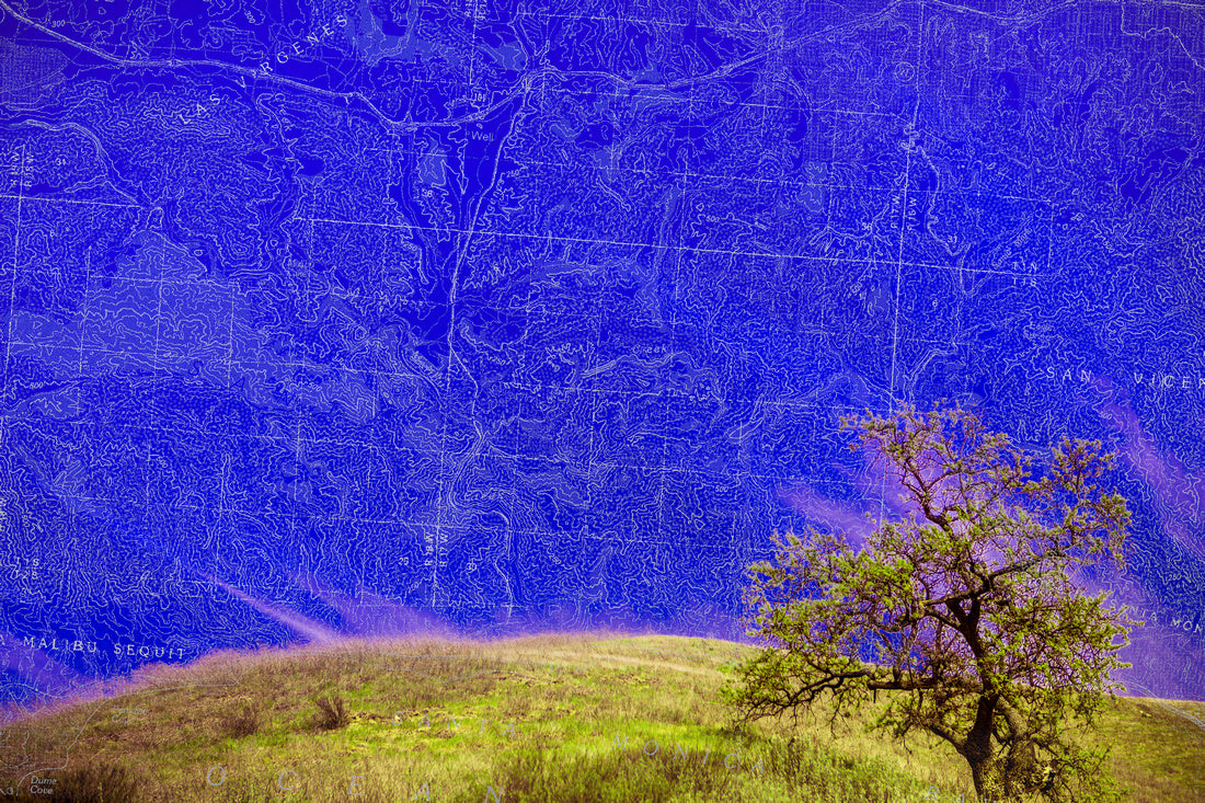 City Lines - Urban Pop Art