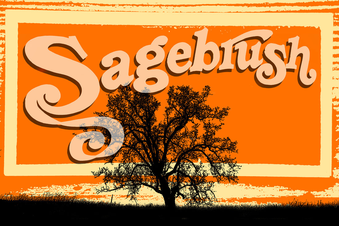 Sagebrush Urban Pop Art