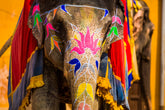Face Paint in Jaipur, India - Exotic Landscapes