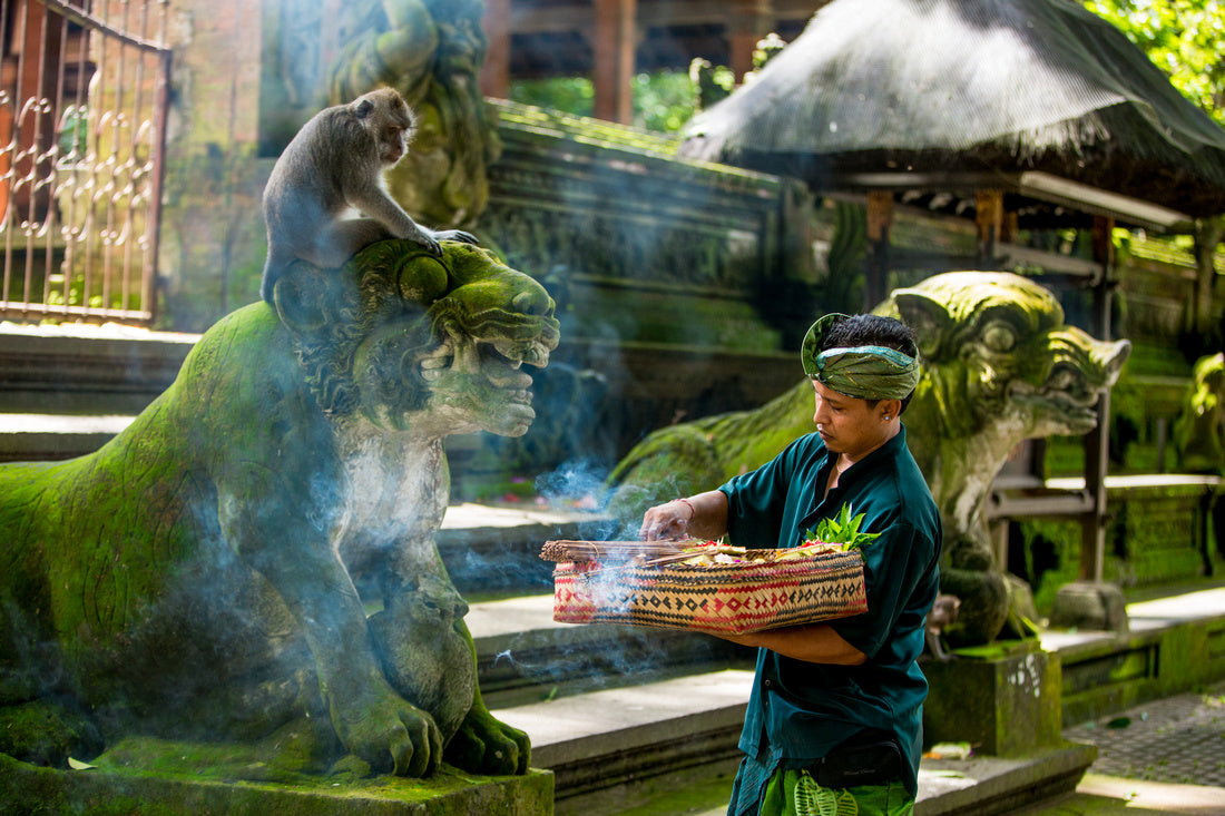 The Ceremony in Ubud, Bali, Indonesia - Exotic Landscapes