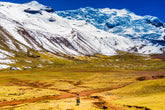 In the Middle of It All - Peru Series