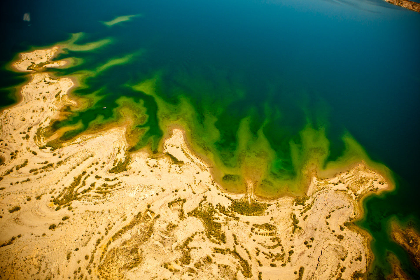 Green Waters in Las Vegas, Nevada - Exotic Landscapes