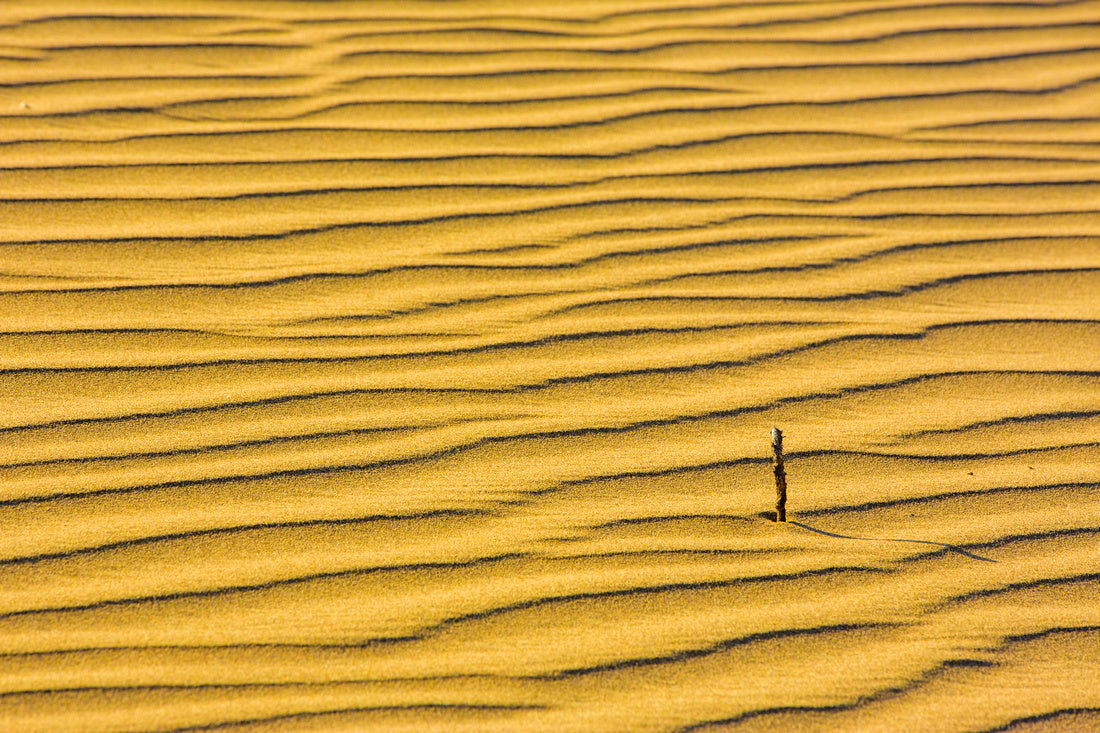 Paracas Desert Waves - Peru Series