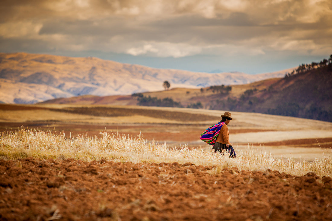 Andeana - Peru Series