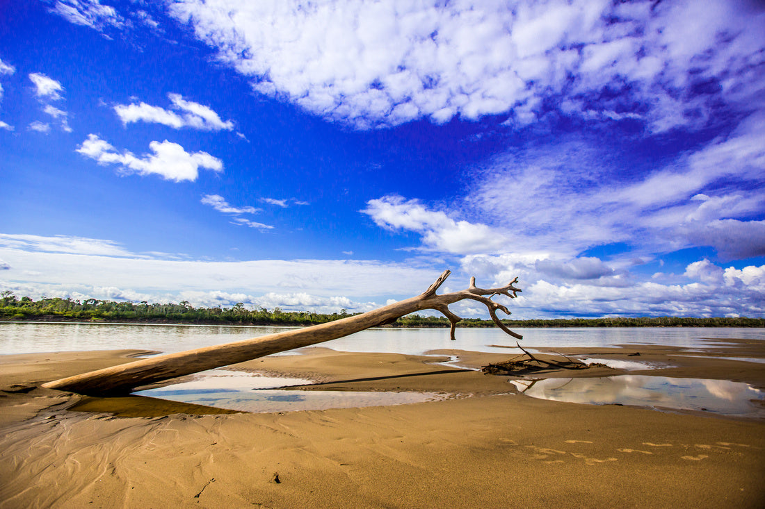 Low Water Trunk - Peru Series