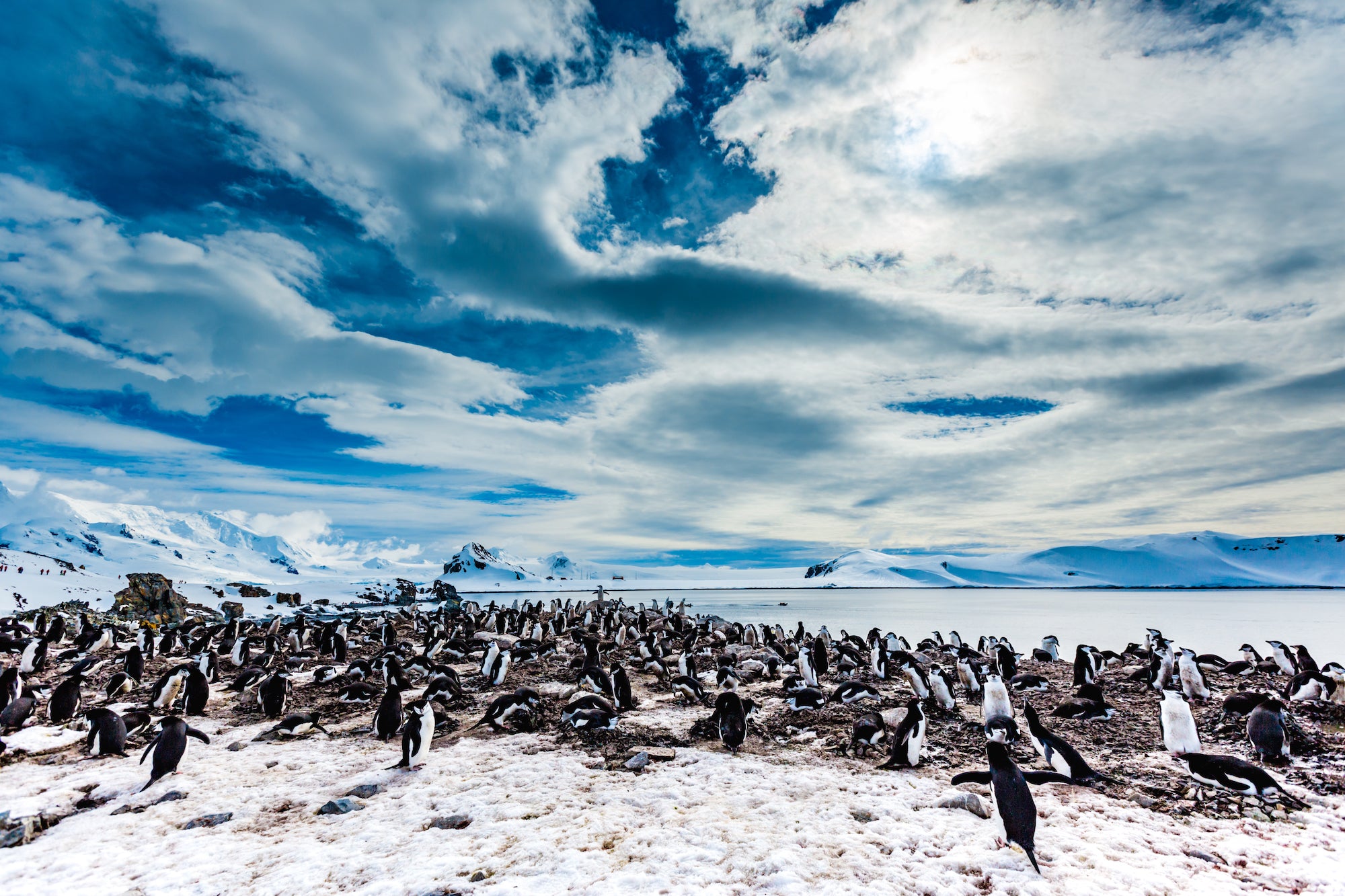 Travel Media Antartica Story