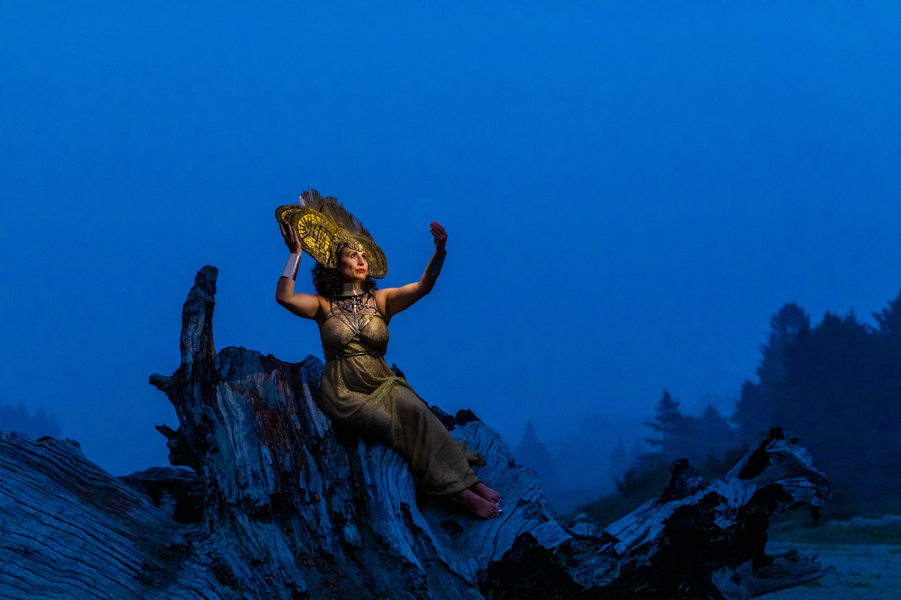 Evening Queen in The Redwoods, California - Global Goddesses