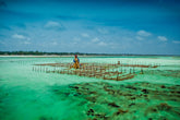 Meditation in the Sea on Zanzibar - Exotic Landscapes