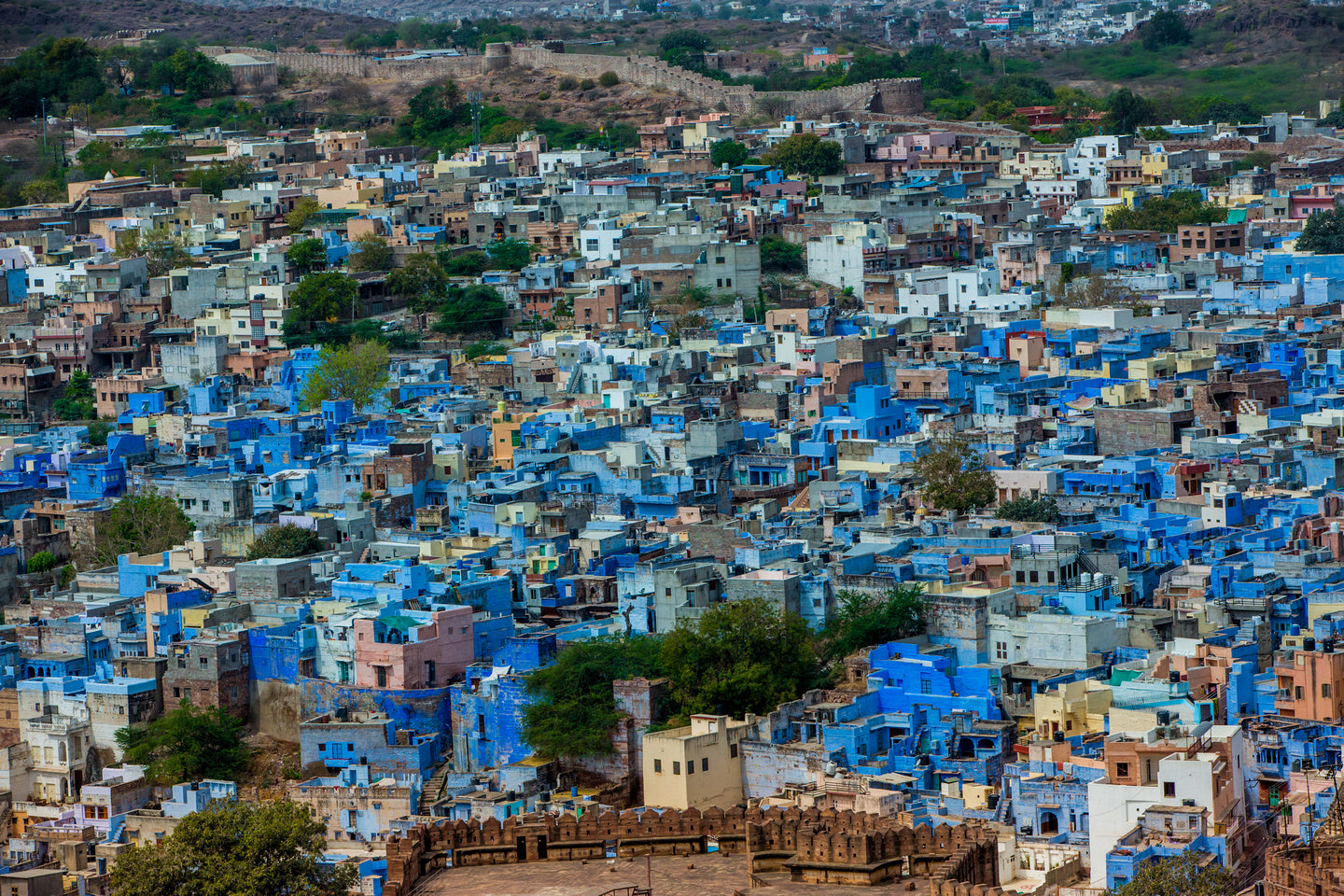 Blue Blocks in Jodhpur, India - Exotic Landscapes