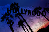 Midnight in Hollywood - Urban Pop Art