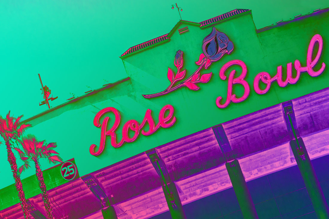 Rose Bowl - Urban Pop Art