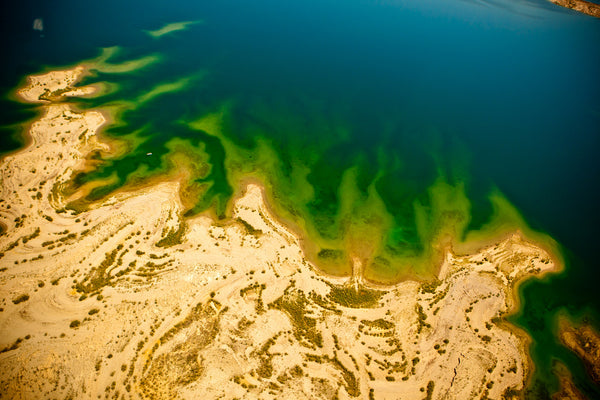 Drone Photography & Videography